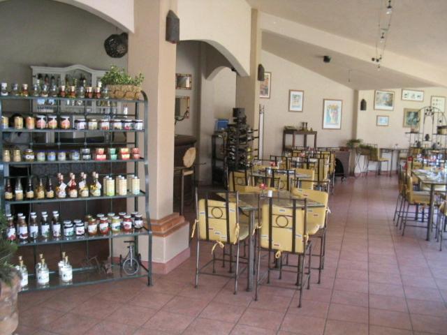 拉波萨达酒店 Apizaco 外观 照片